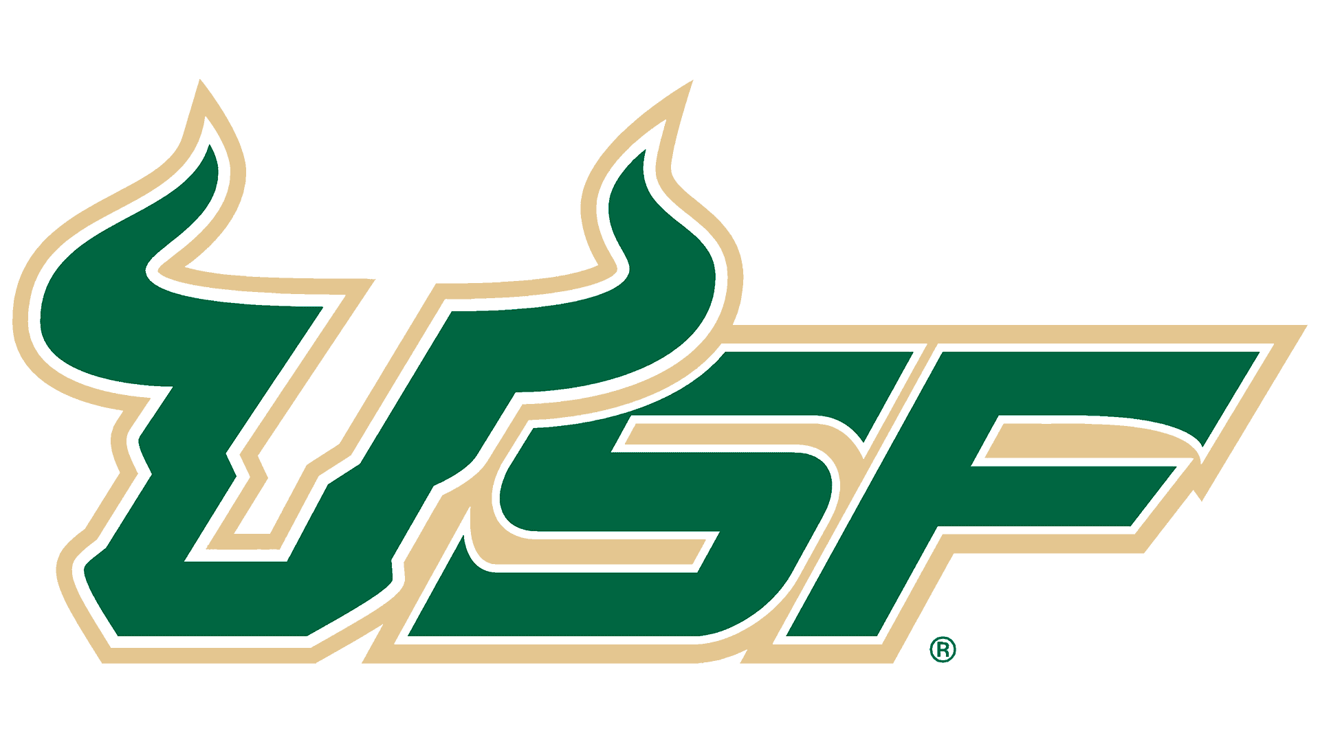 University of South Florida